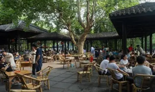 茶艺师为什么培养慢走得快